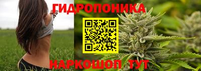 молекула духа Комсомольск-на-Амуре