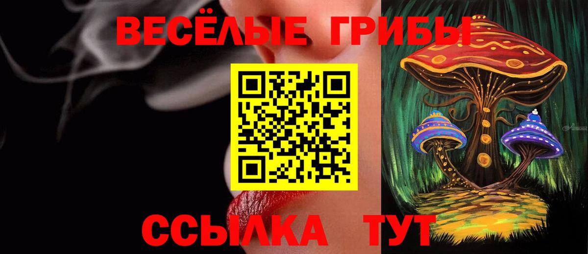 Псилоцибиновые грибы Psilocybe  Вход с VPN  Тимашёвск 